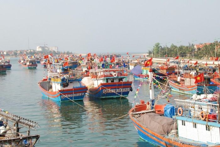 Tàu cá của ngư dân đang neo đậu trên sông Nhật Lệ, phường Đồng Hới, tỉnh Quảng Trị