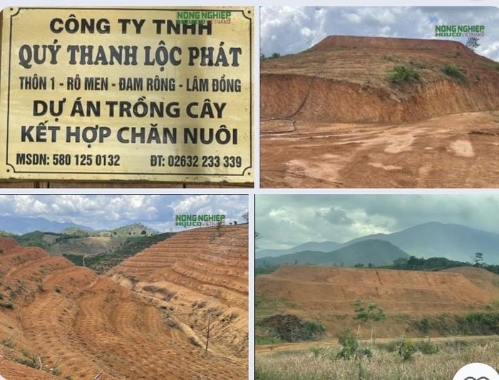 Chi cục Kiểm lâm tỉnh Lâm Đồng chỉ đạo gắn công tác tuần tra, kiểm tra rừng với việc giám sát thực hiện công tác quản lý bảo vệ rừng và đất lâm nghiệp của các đơn vị chủ rừng - (Ảnh: Dự án của Công ty TNHH Qúy Thanh Lộc Phát tại xã Đam Rông 3, đất lâm nghiệp bị san ủi, lấn chiếm để trồng cây)