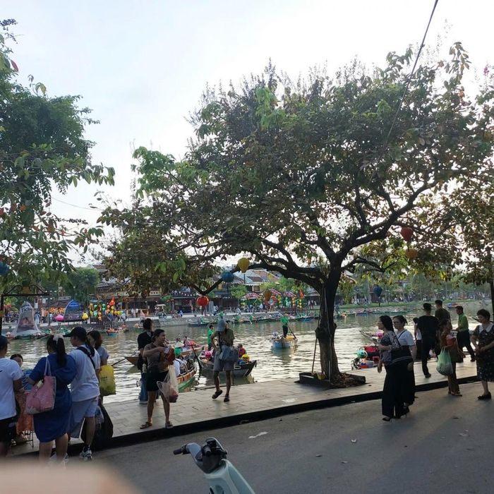 Hội An lúc nào cũng như ngày hội