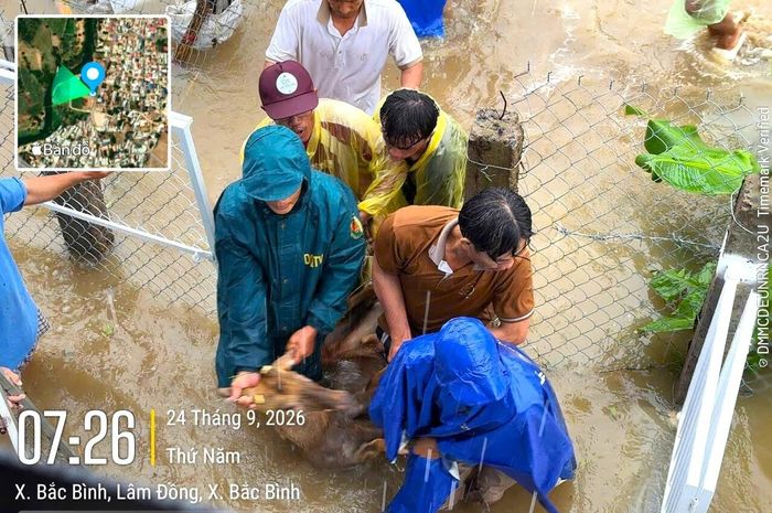 Lực lượng chức năng di dời tài sản người dân ra khỏi vùng ngập.