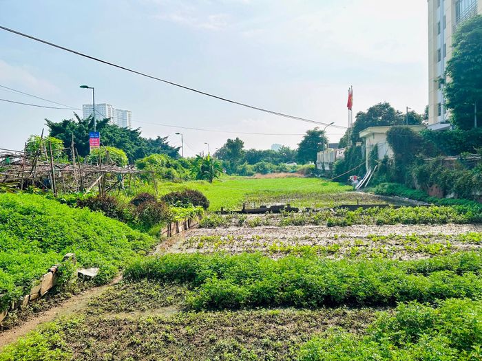 Phường Hoàng Mai quyết tâm hoàn thành giải phóng mặt bằng dự án trước ngày 30/9/2026. Ảnh: Trần Oanh.