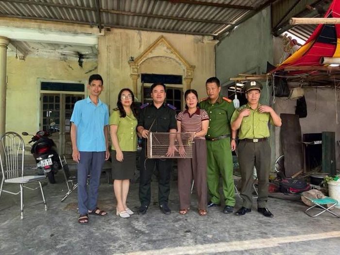Người dân phường Hà Huy Tập tự nguyện giao nộp cá thể trăn đất quý hiếm cho cơ quan chức năng. ẢNH: T.L
