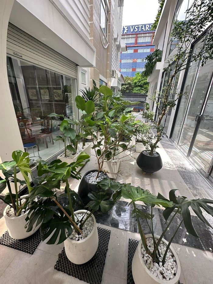 Phía ngoài hành lang, không gian căn biệt thự tràn ngập ánh sáng và cây xanh lấy ý tưởng từ những khu nghỉ dưỡng cao cấp.