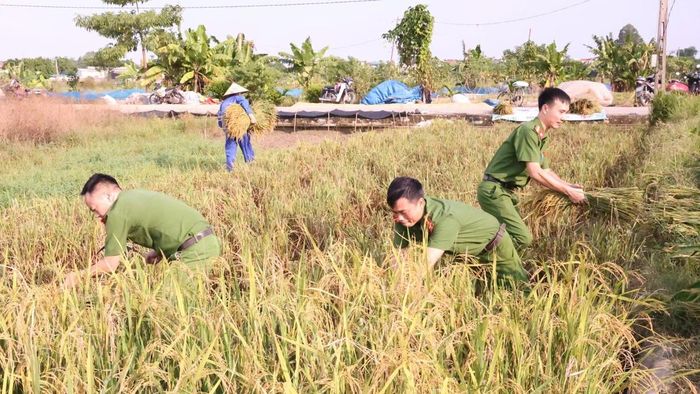 Với tinh thần  “ Vì nhân dân phục vụ”, cán bộ, chiến sĩ Công an xã trực tiếp xuống đồng, cùng người dân thực hiện các công việc từ cắt lúa, vận chuyển đến thu gom sau thu hoạch
