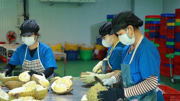 Tuy nhiên việc thực hành và đáp ứng các tiêu chuẩn xanh vẫn còn nhiều hạn chế