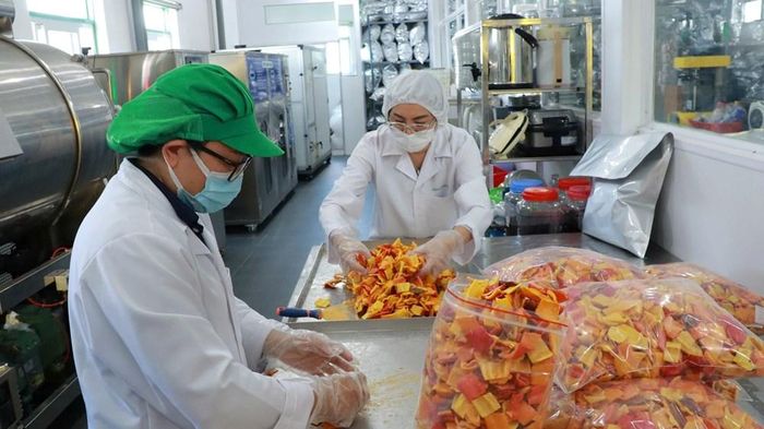 Tỉnh Lâm Đồng có nhiều tiềm năng, lợi thế để tham gia sâu vào lĩnh vực chế biến hàng xuất khẩu, du lịch và sản xuất nông nghiệp công nghệ cao