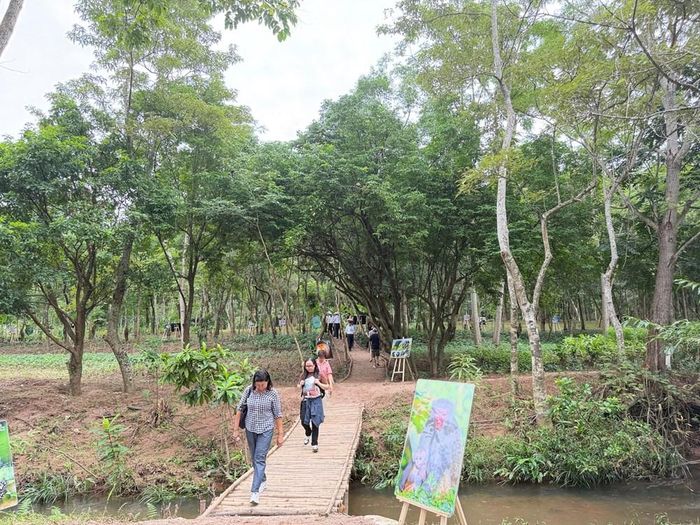Du khách tham quan khu vực vườn thực vật, tìm hiểu các loại cây dược liệu bản địa dưới tán rừng