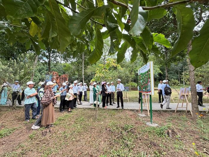 Du khách tìm hiểu thông tin về hệ sinh thái rừng đặc dụng và đa dạng sinh học quanh khu đền tháp