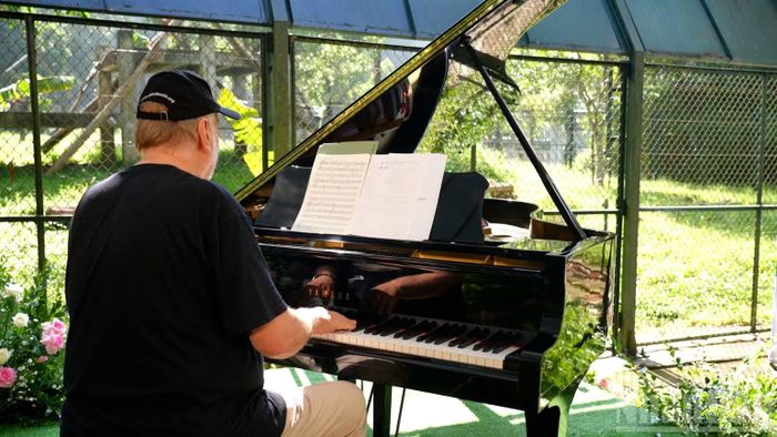 Nghệ sĩ piano nổi tiếng Rick Wakeman vừa đàn, vừa ngắm nhìn các cá thể gấu.