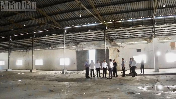 Lãnh đạo Thành ủy Thành phố Hồ Chí Minh và đoàn công tác khảo sát nhà đất dôi dư tại phường Phú Lâm. (Ảnh: KHANG ANH)