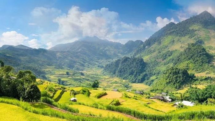 Màu của ấm no trên non cao. (Ảnh: Fanpage Tủa Thàng xanh)