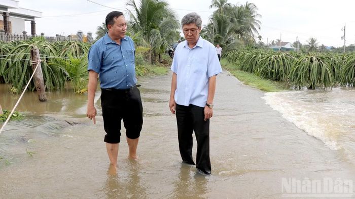 Phó Chủ tịch Ủy ban nhân dân tỉnh Nguyễn Minh (áo trắng) kiểm tra tại phường Bình Thuận. (Ảnh: THANH HẢI)