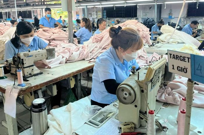 Công nhân trong giờ làm việc tại Khu chế xuất, Khu công nghiệp của Thành phố. (Ảnh: CTV)
