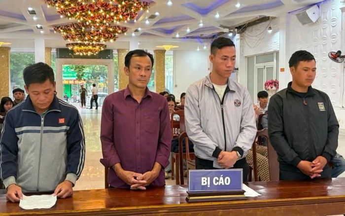 Các bị cáo tại phiên tòa.