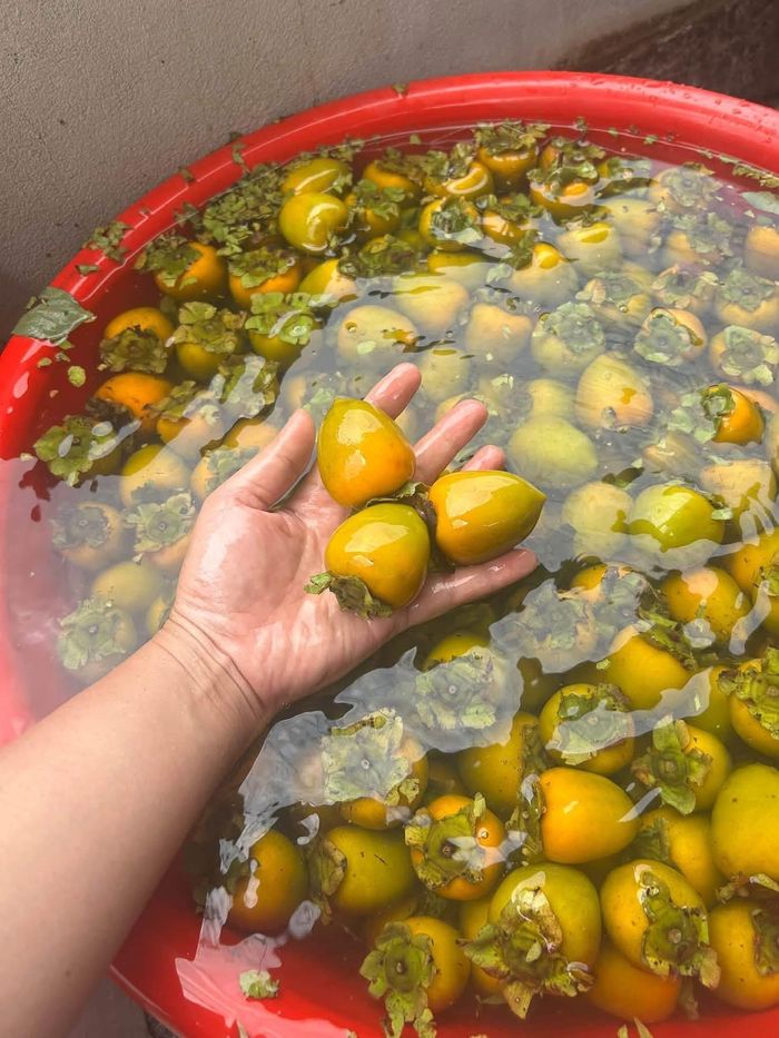 Trước khi đem bán, hồng được ngâm để loại bỏ vị chát. Ảnh: THU PHƯƠNG