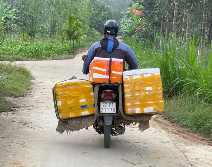 Tiểu thương đến tận xã Xuân Vân mua hồng đặc sản, đóng thùng rồi chở đi giao cho các mối. Ảnh: TRƯỜNG AN