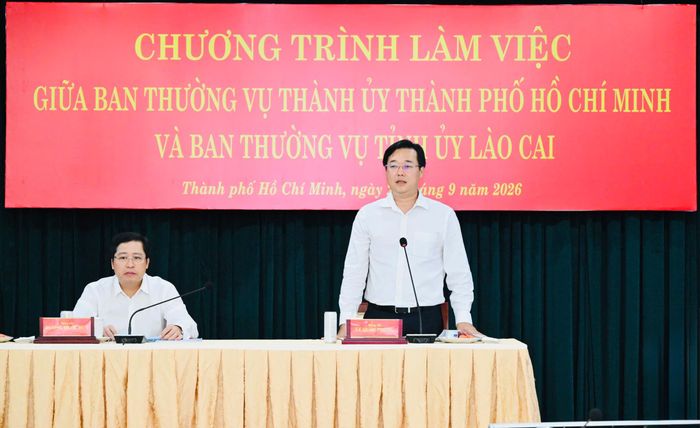  Phó Bí thư Thường trực Thành ủy TPHCM Lê Quốc Phong phát biểu kết luận (Ảnh VIỆT DŨNG) 
