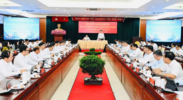  Buổi làm việc giữa Ban Thường vụ Thành ủy TPHCM và Tỉnh ủy Lào Cai. Ảnh: VIỆT DŨNG 