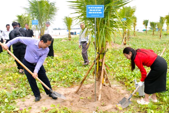  Trồng 50 cây dừa tại "Vườn cây Đại đoàn kết " xã Long Hải 