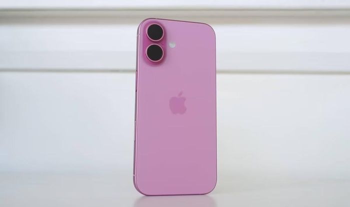 Ảnh: Pickr