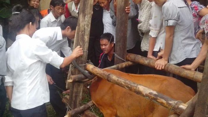 Tạo sinh kế để phát triển kinh tế giúp người dân giảm nghèo bền vững. Ảnh: Quỳnh Chi.