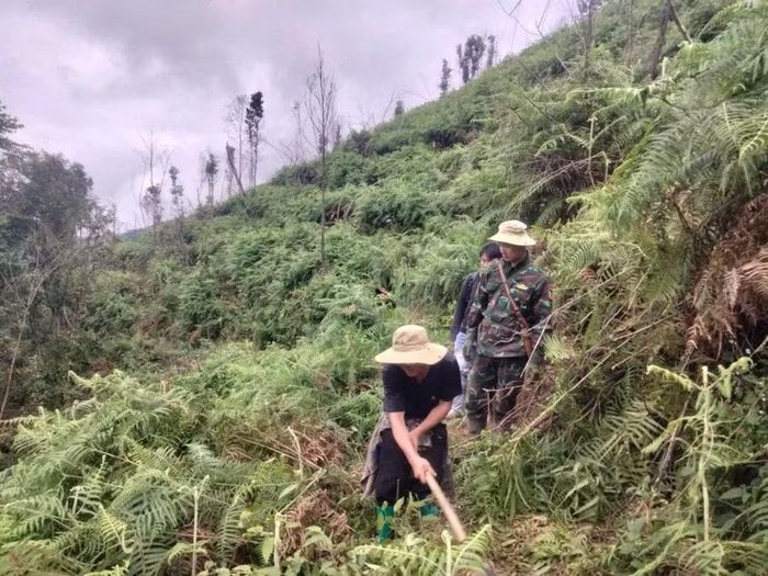 Công tác tuần tra rừng được Kiểm lâm Ban Quản lý KBTTN Mường La thực hiện thường xuyên.