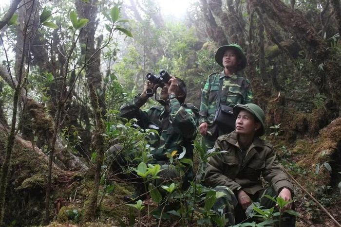 Lực lượng Kiểm lâm Khu bảo tồn thiên nhiên Mường La thường xuyên tuần tra rừng.