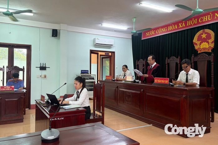 HĐXX tuyên án vụ Công ty TNHH Phước Loan đổ hơn 462 tấn chất thải ra môi trường.