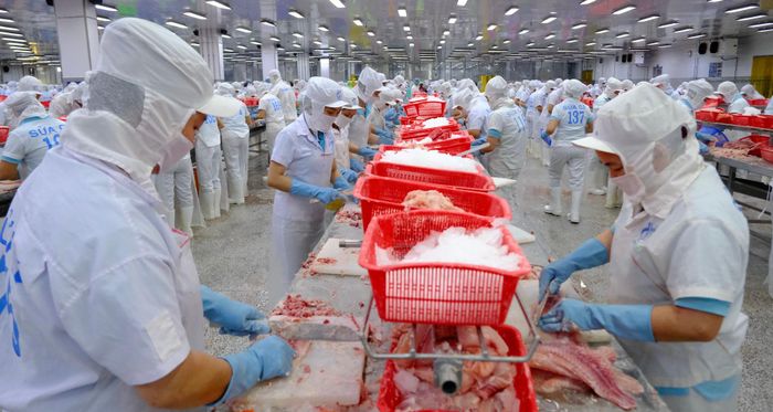 Cà Mau thanh tra lĩnh vực bảo vệ môi trường và tài nguyên nước đối với các công ty chế biến thủy, hải sản. Ảnh: KL
