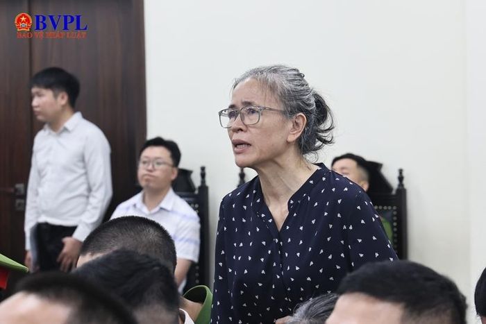 Bị cáo Bùi Đinh Thị Dinh khai báo tại phiên tòa.