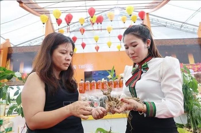 Các chủ thể OCOP đưa những sản phẩm chất lượng đến gần người tiêu dùng thông qua hoạt động quảng bá tại Lễ hội nông sản đặc trưng và sản phẩm OCOP tỉnh Tây Ninh.