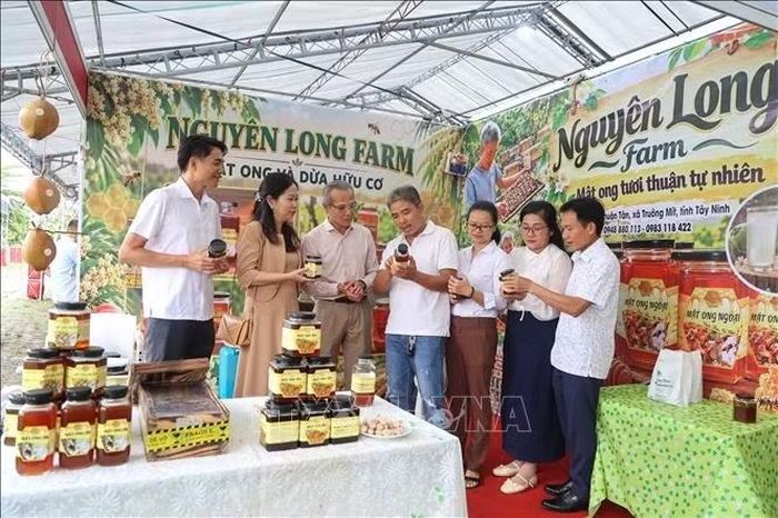 Mật ong xã Truông Mít là một trong những sản phẩm OCOP mang đậm giá trị đặc sản địa phương.