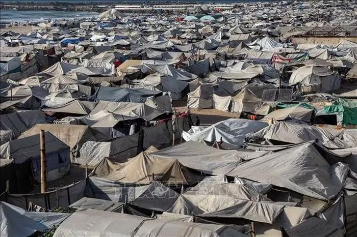 Quang cảnh một trại tị nạn ở Gaza. Ảnh: THX/TTXVN phát