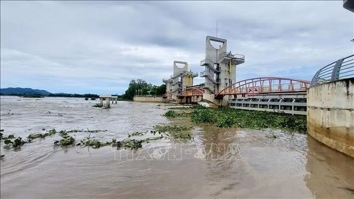 Vận hành mở cống Tha La và Trà Sư góp phần điều tiết dòng nước, đưa phù sa vào đồng ruộng, tháo chua, rửa phèn và vệ sinh đồng ruộng vùng Tứ giác Long Xuyên.
