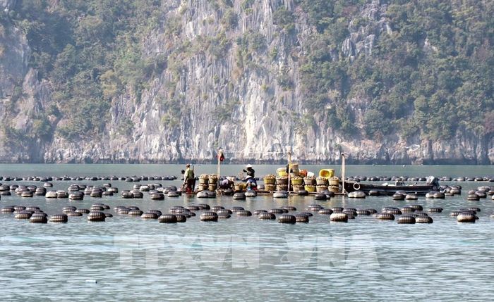 Quảng Ninh đang đẩy nhanh quy hoạch, phân vùng và giao khu vực biển. Ảnh minh họa: Văn Đức - TTXVN