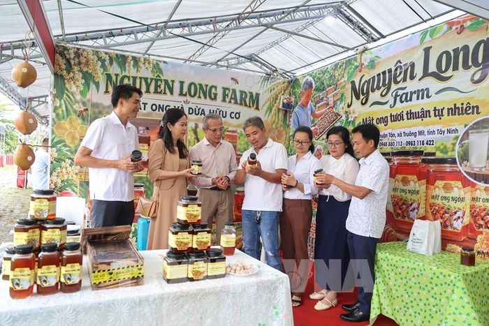 Mật ong xã Truông Mít là một trong những sản phẩm OCOP mang đậm giá trị đặc sản địa phương. Ảnh: Giang Phương - TTXVN