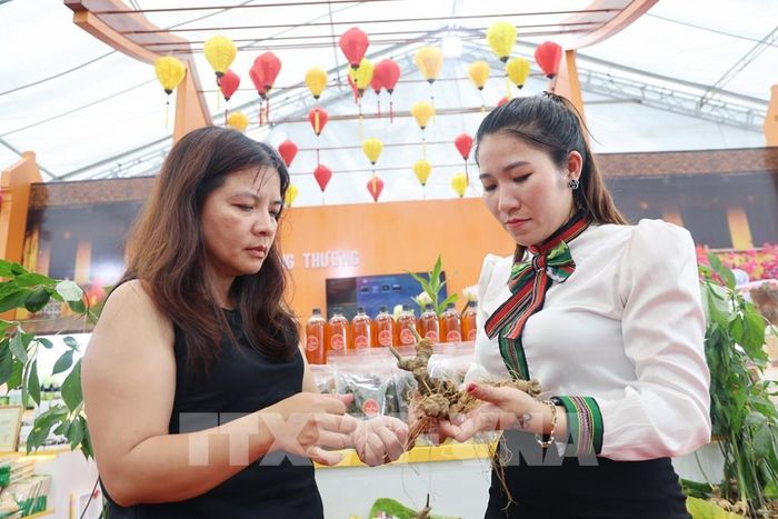 Các chủ thể OCOP đưa những sản phẩm chất lượng đến gần người tiêu dùng thông qua hoạt động quảng bá tại Lễ hội nông sản đặc trưng và sản phẩm OCOP tỉnh Tây Ninh. Ảnh: Giang Phương - TTXVN
