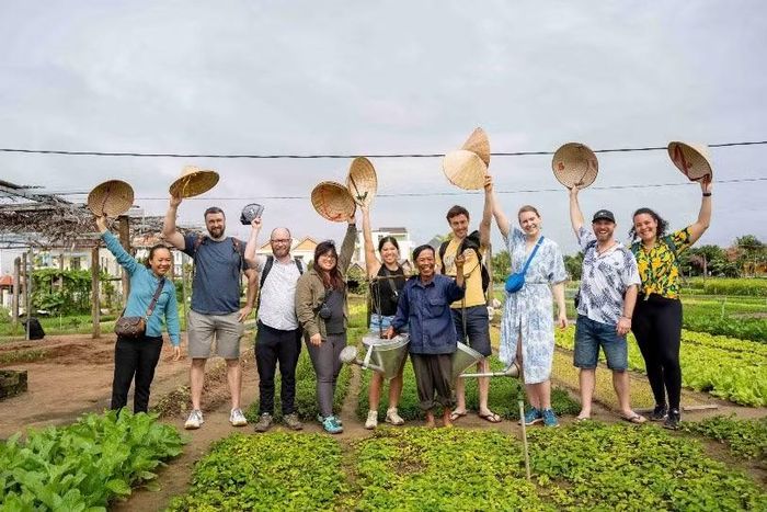Làng rau Trà Quế nổi tiếng với phương thức canh tác hữu cơ, nơi du khách có thể cùng người dân làm đất, trồng rau, thu hoạch và tìm hiểu đời sống của một làng nông nghiệp