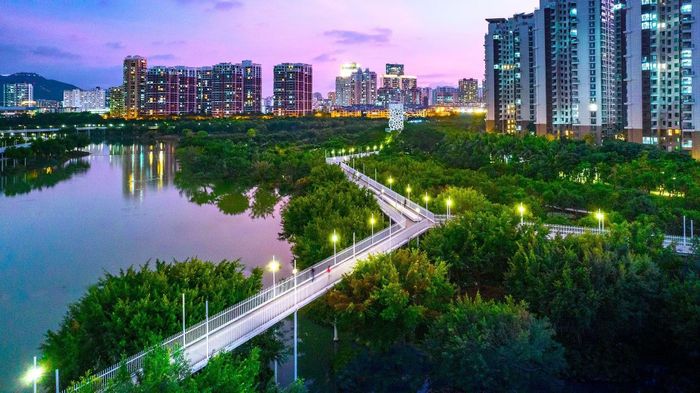 Các không gian cảnh quan bán ngập (Wetland) được thiết kế thuận theo đặc điểm thủy văn, địa hình của mỗi vùng, để điều tiết, trữ nước khi mưa lớn, và kiến tạo nên hệ sinh thái trong lành cho đô thị. Ảnh: Turrenscape