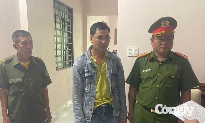 Bị can Vũ Đình Quang (ảnh: Ngọc Khuê)