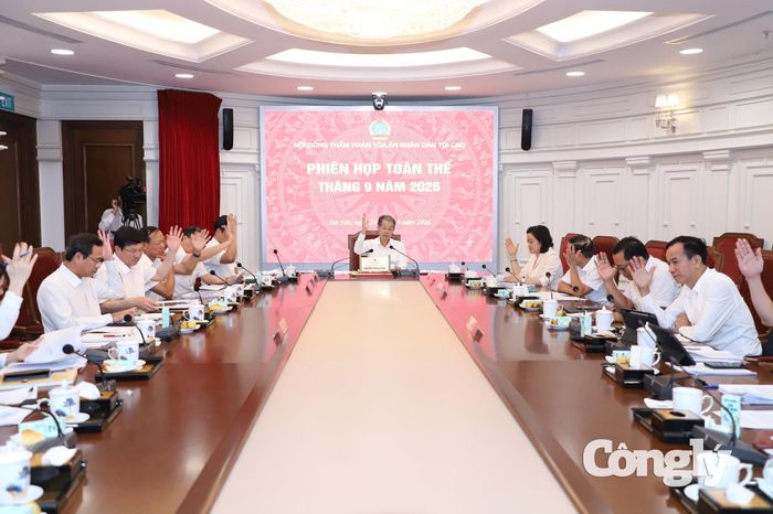 Hội đồng Thẩm phán TANDTC biểu quyết thông qua án lệ