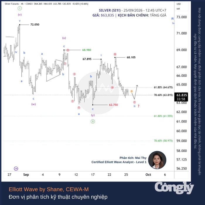 Nguồn phân tích: Elliott Wave by Shane | Nguồn dữ liệu: TradingView