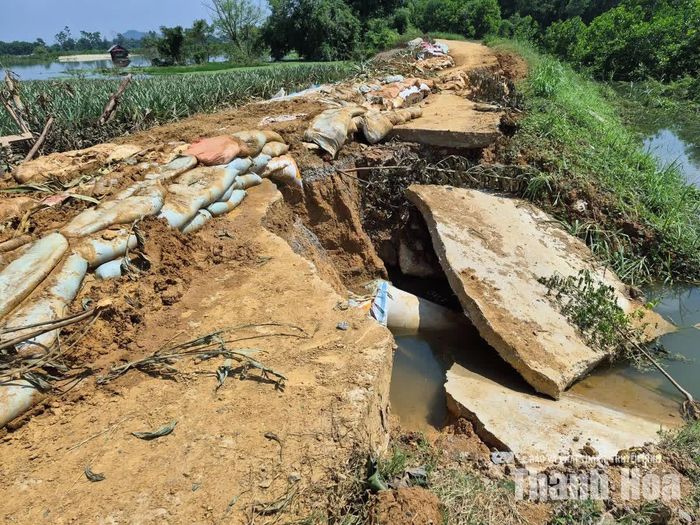 Sự cố xói mòn đê bao sông Hép trên địa bàn xã Yên Phú được khắc phục tạm thời.