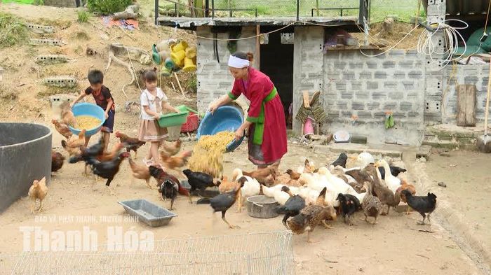 Chị Lê Thị Phương và các con chăm sóc đàn gia cầm.