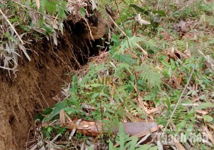 Vết nứt đang có dấu hiệu mở rộng.
