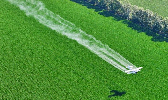 Máy bay nông nghiệp thực hiện hoạt động bảo vệ cây trồng bằng phương pháp phun từ trên không trên một cánh đồng ngô của Tập đoàn Beidahuang tại tỉnh Hắc Long Giang, Đông Bắc Trung Quốc. Ảnh: Xinhua