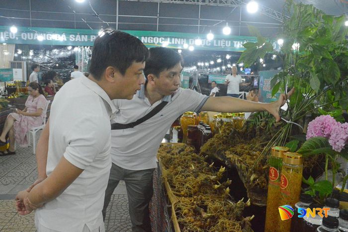 Chương trình thu hút sự quan tâm của người dân và du khách tham quan, mua sắm sản phẩm sâm Ngọc Linh. Ảnh: KHÁNH LINH