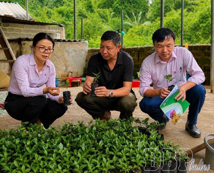 Cán bộ Phòng giao dịch Ngân hàng Chính sách xã hội Mường Ảng kiểm tra việc sử dụng vốn tại xã Búng Lao.