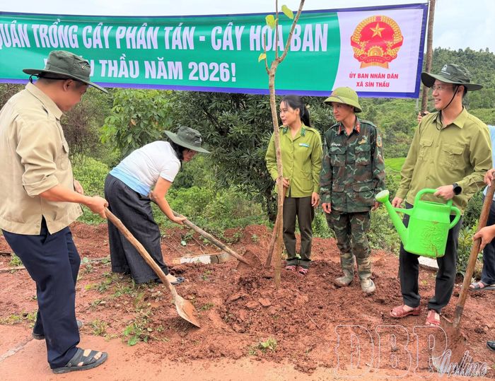 Cán bộ và nhân dân các dân tộc xã Sín Thầu tích cực tham gia trồng cây.
