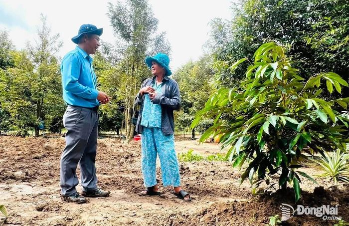 Thượng tá Vũ Văn Thọ tặng quà của Đội K72 cho chủ vườn giúp đỡ đội và trao đổi với chủ vườn thông tin, thỏa thuận giải pháp đào tìm những ngày tới. Ảnh: ĐVCC